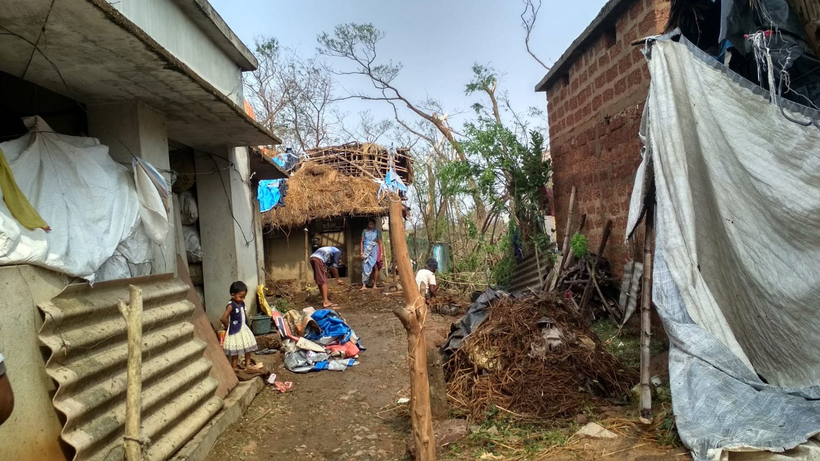 Community Recovery